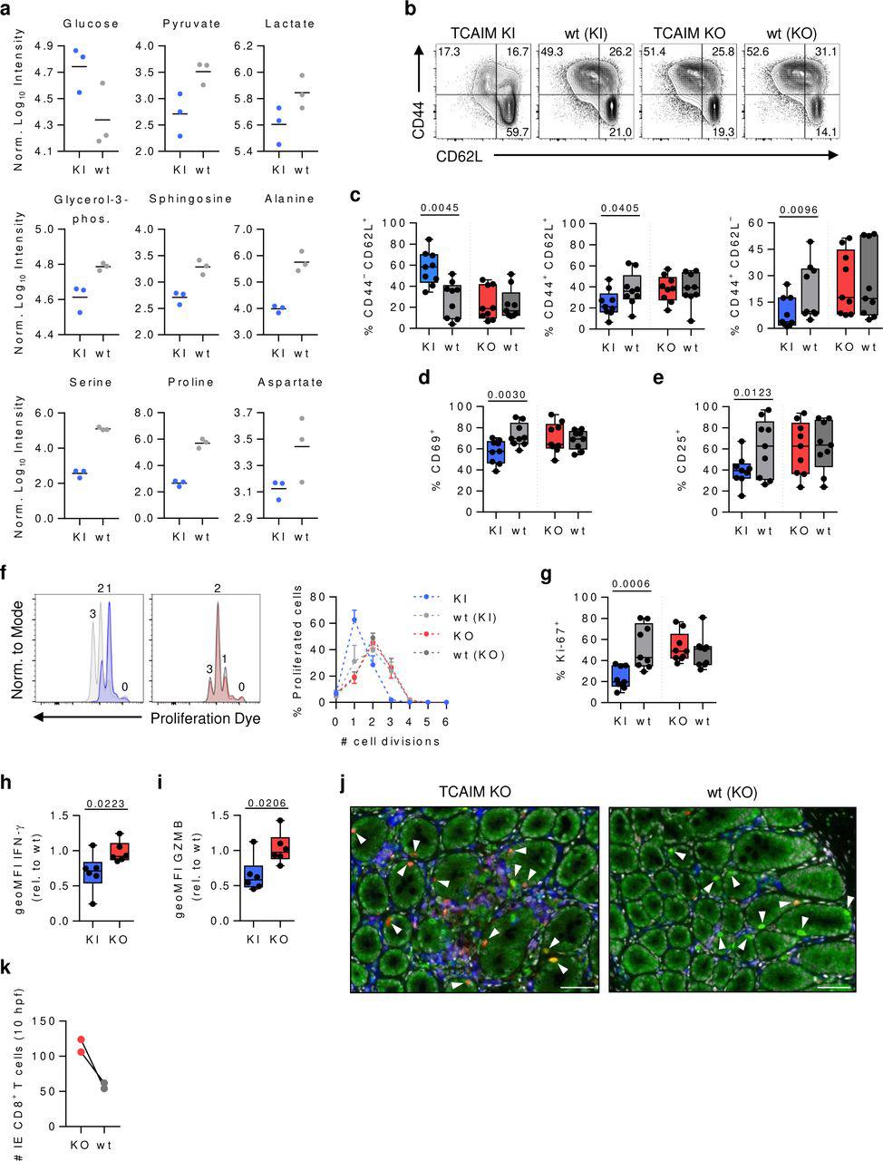 Easysep Mouse Cd8 T Cell Isolation Kit Miltenyi Biotec Bioz