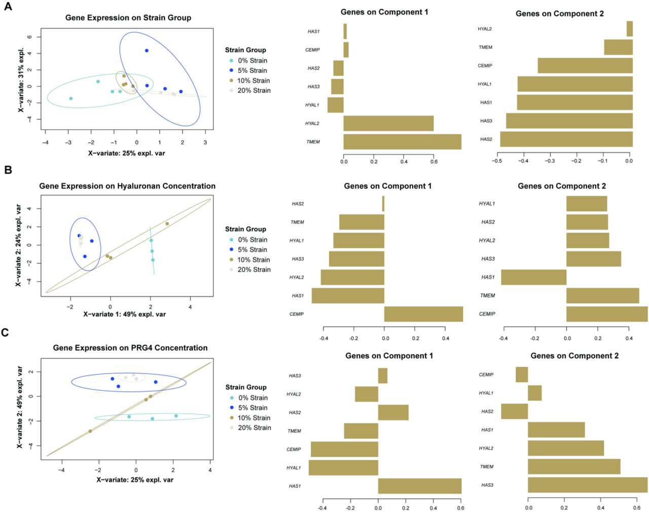 ... gene for each component. B) sPLSR to predict hyaluronan concentration group from gene expression data, along with ... A) sPLS-DA to predict strain group from gene expression data, along with corresponding loadings plots, showing the contributions of each gene for each component. B) sPLSR to predict hyaluronan concentration group from gene expression data, along with corresponding loadings plots, showing the contributions of each gene for each component. C) sPLSR to predict PRG4 concentration from gene expression data, along with corresponding loadings plots, showing the contributions of each gene for each component. sPLS plots are shown in the X representative space of data along 2 components.