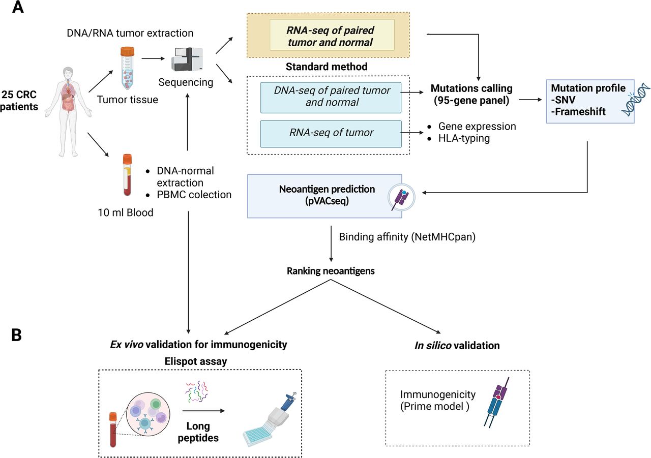 Allprep Dna Rna Mini Kit qiagen Bioz