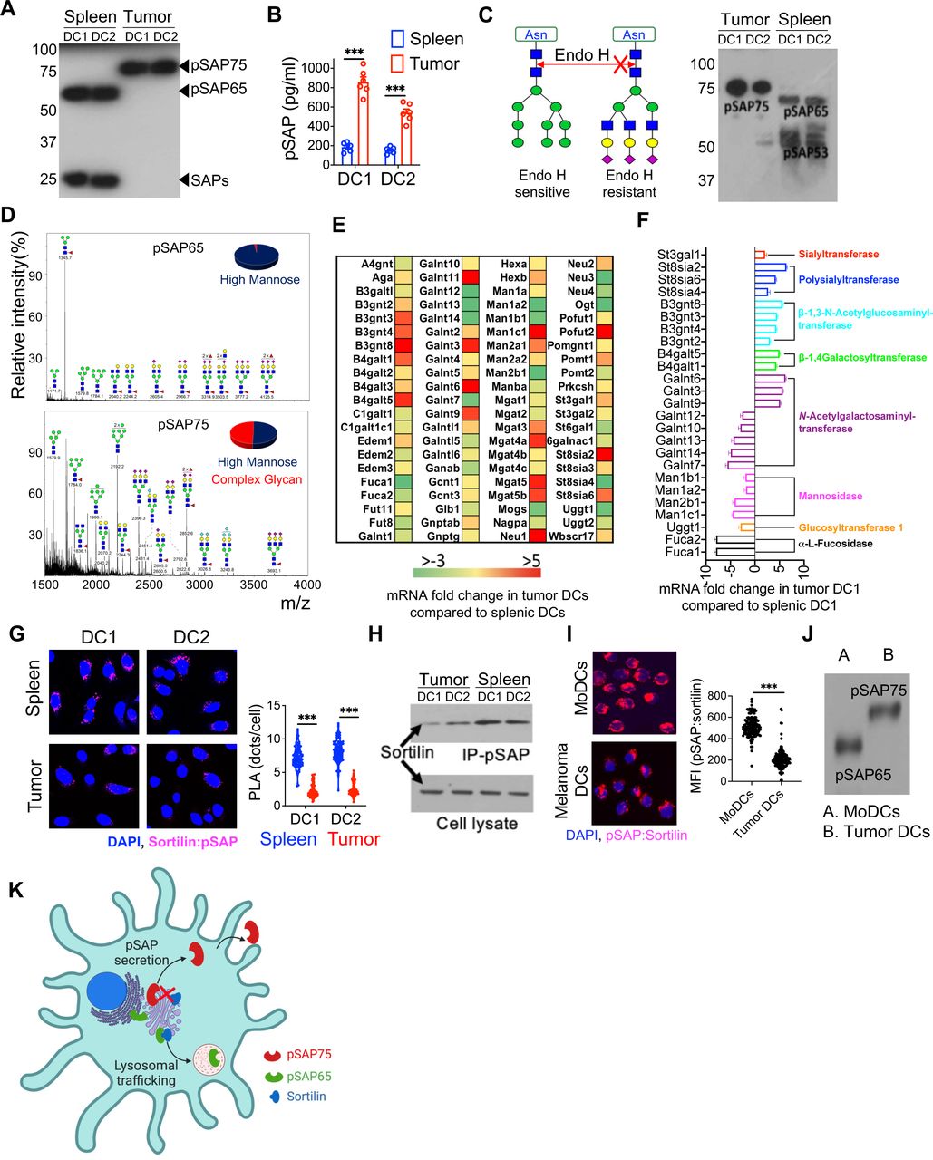 H Digestion New England Biolabs Bioz