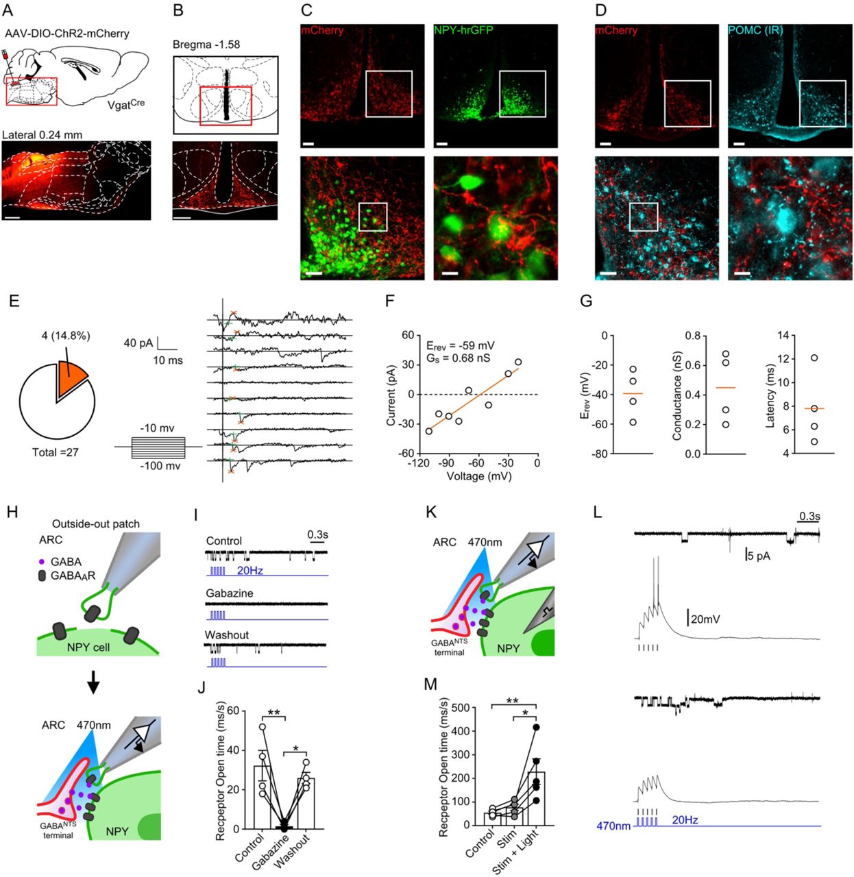 Bonferroni Correction GraphPad Software Inc Bioz