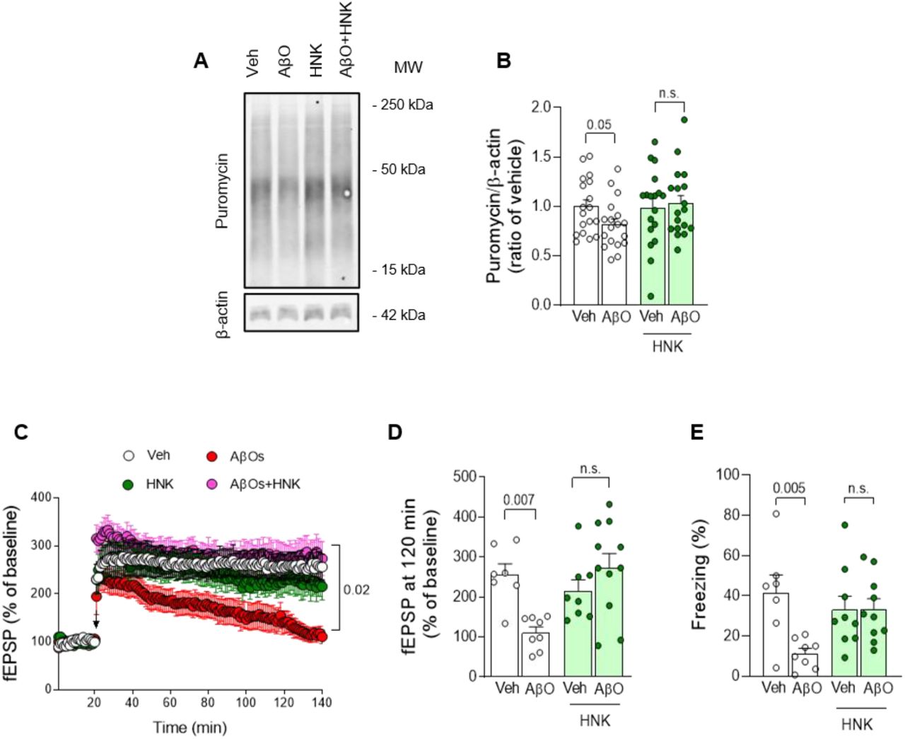 C57bl 6j Jackson Laboratory Bioz