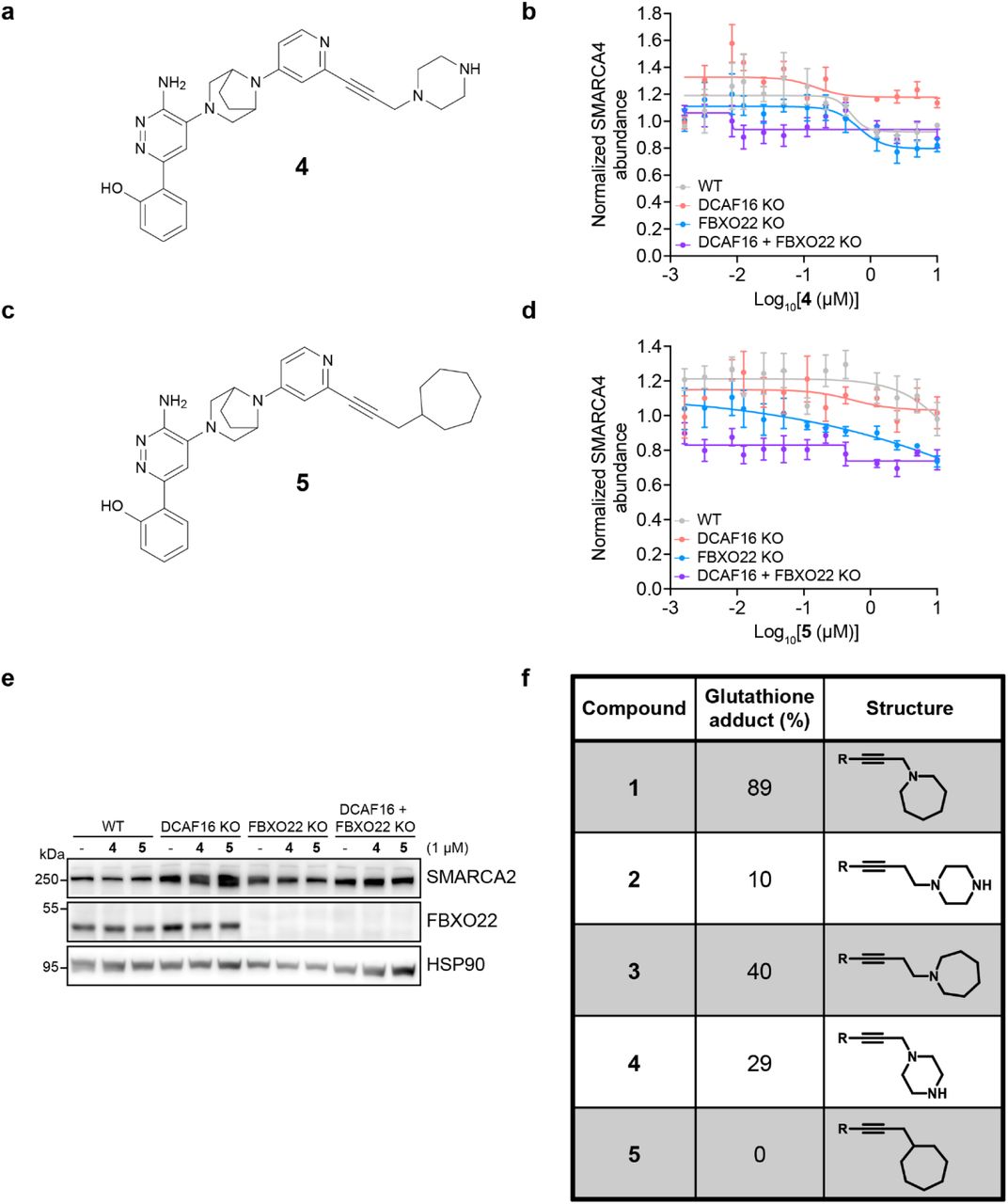 a , Structure of Compound 4 . b , HiBiT endpoint degradation assay. SMARCA4-HiBiT HEK293T cells with single and double KOs were treated with a serial dilution series of 4 for 24 hours. SMARCA4 levels were quantified using the HiBiT lytic detection system. Data represent mean ± SEM, n = 3 biological replicates. c , Structure of Compound 5 . d , Hibit endpoint degradation assay. SMARCA4-HiBit HEK293T cells with single and double KOs were treated with a serial dilution series of 5 for 24 hours. SMARCA4 levels were quantified using the HiBiT lytic detection system. Data represent mean ± SEM, n = 3 biological replicates. e , Genetic rescue of SMARCA2 degradation. WT, DCAF16 KO, FBXO22 KO, and double KO HEK293T cells were treated with DMSO or increasing concentrations of 4 or 5 for 24 hours. SMARCA2 was quantified by immunoblot. f , Glutathione reactivity assay. The relative reactivity of SMARCA2/4 degraders was assessed using a 3-hour incubation with glutathione at 37°C. Reactivity was estimated as the UV area ratio of the glutathione adduct to the starting material (%), without external calibration 