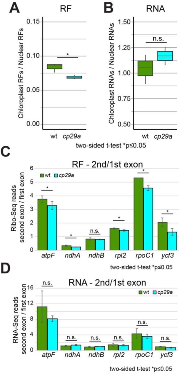 Monarch Rna Cleanup Kit New England Biolabs Bioz