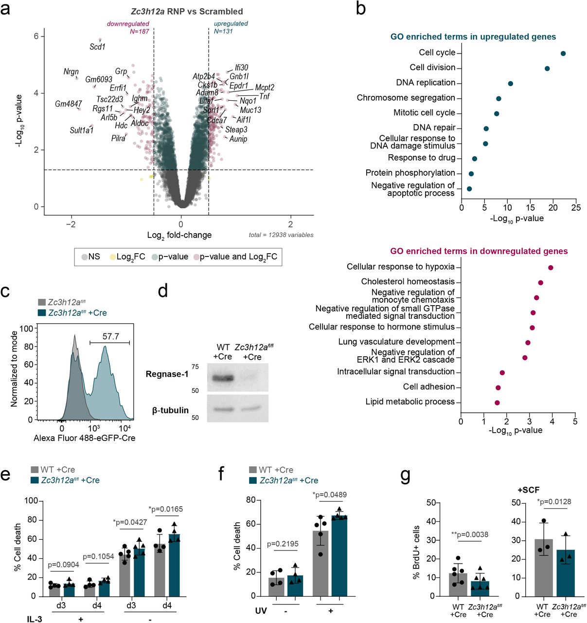 Truecut V2 Cas9 Thermo Fisher Bioz