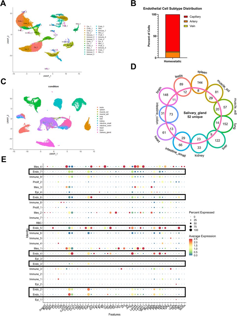 C57bl 6j | The Jackson Laboratory | Bioz
