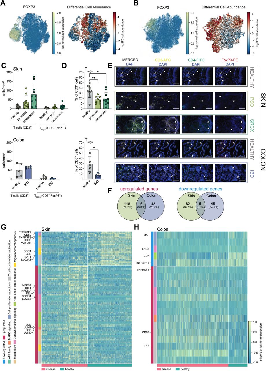 Dynabeads Mouse T Activator Cd3 Cd28 | Thermo Fisher | Bioz