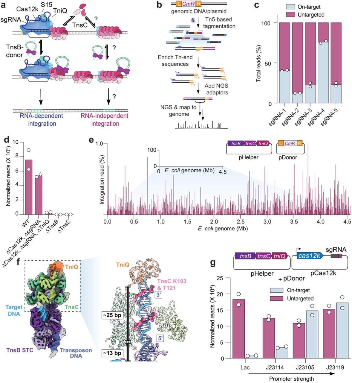Amplicon Tagment Mix Illumina Inc Bioz