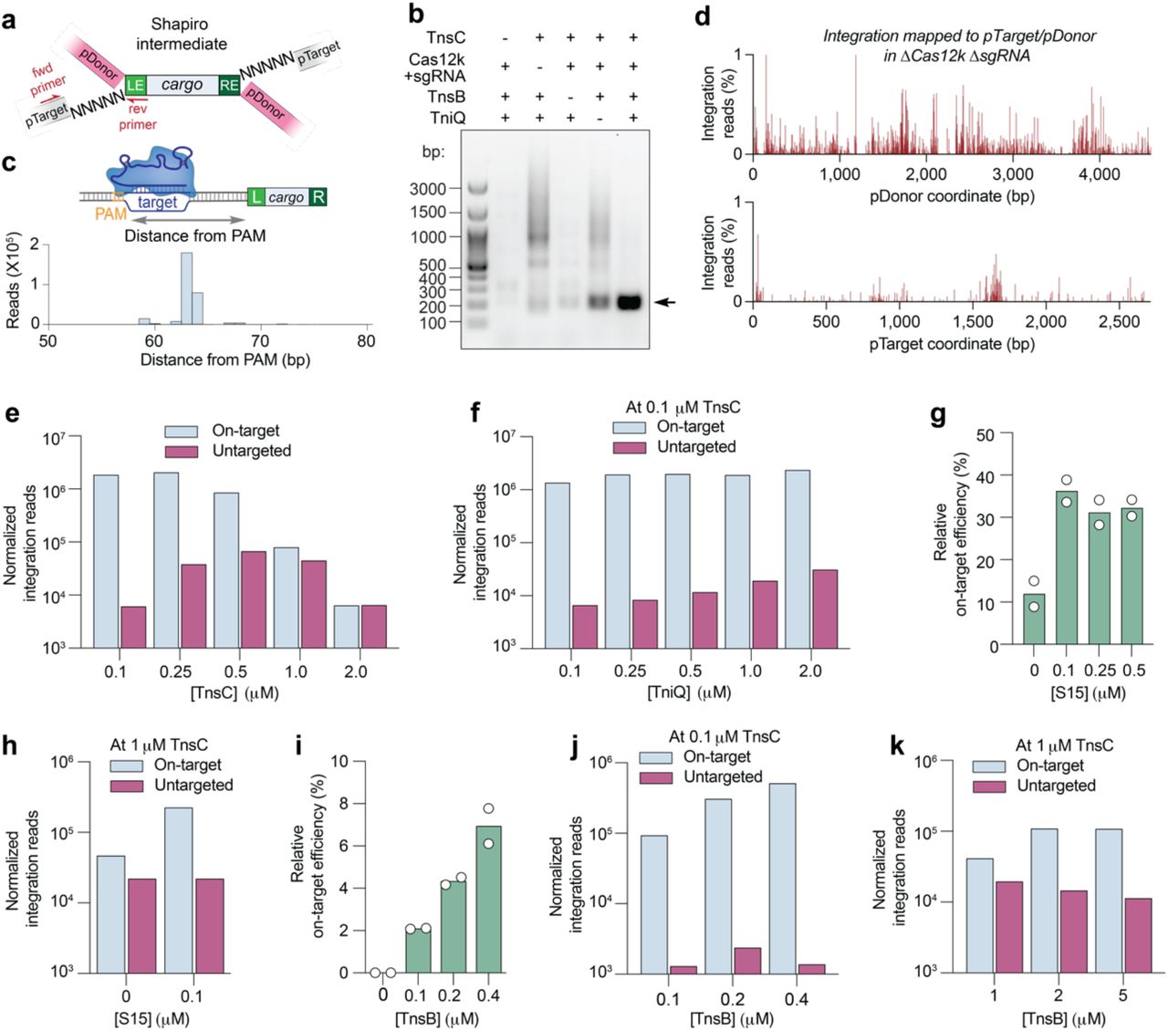Amplicon Tagment Mix Illumina Inc Bioz
