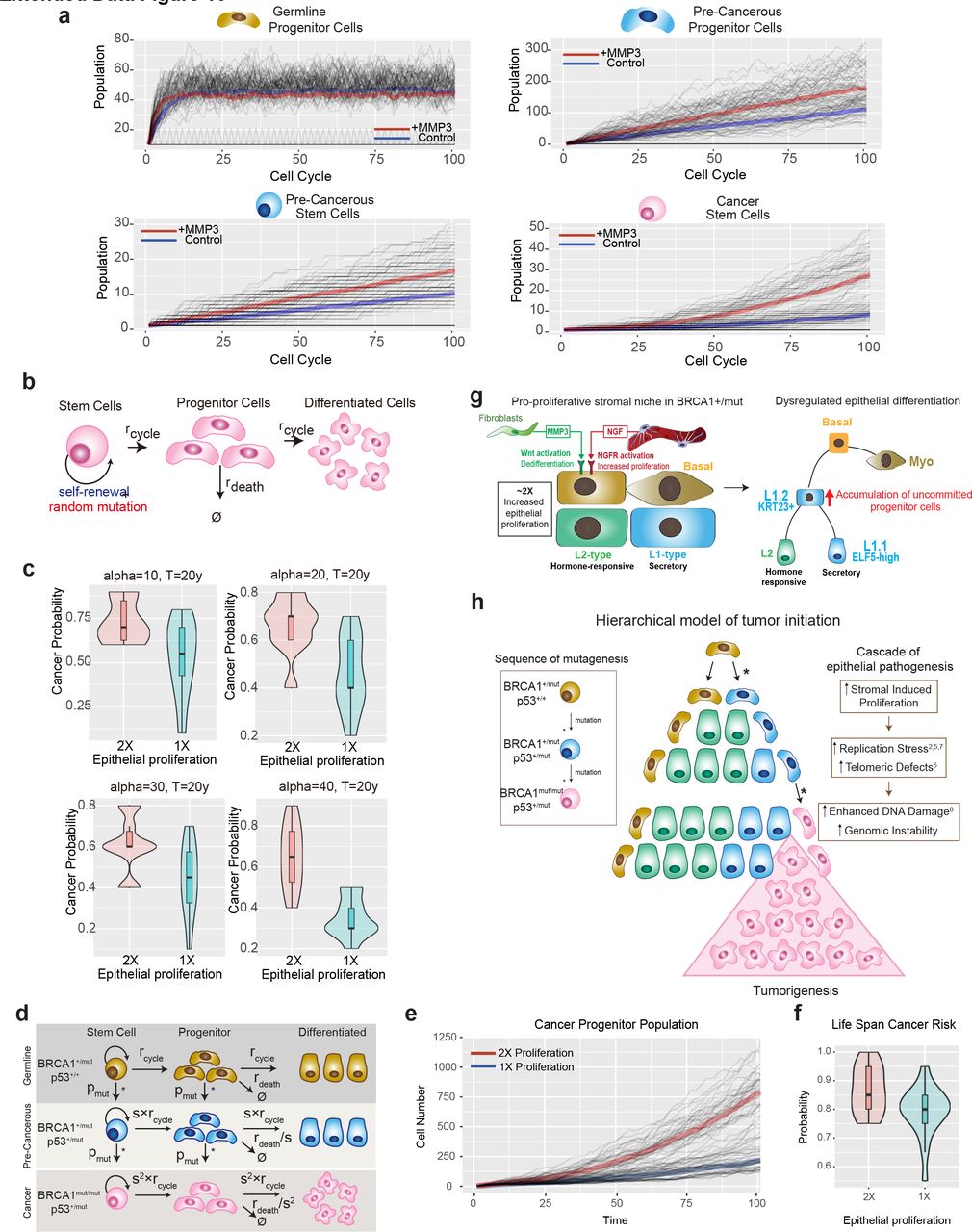 Exogenous Human Ngf PeproTech Bioz