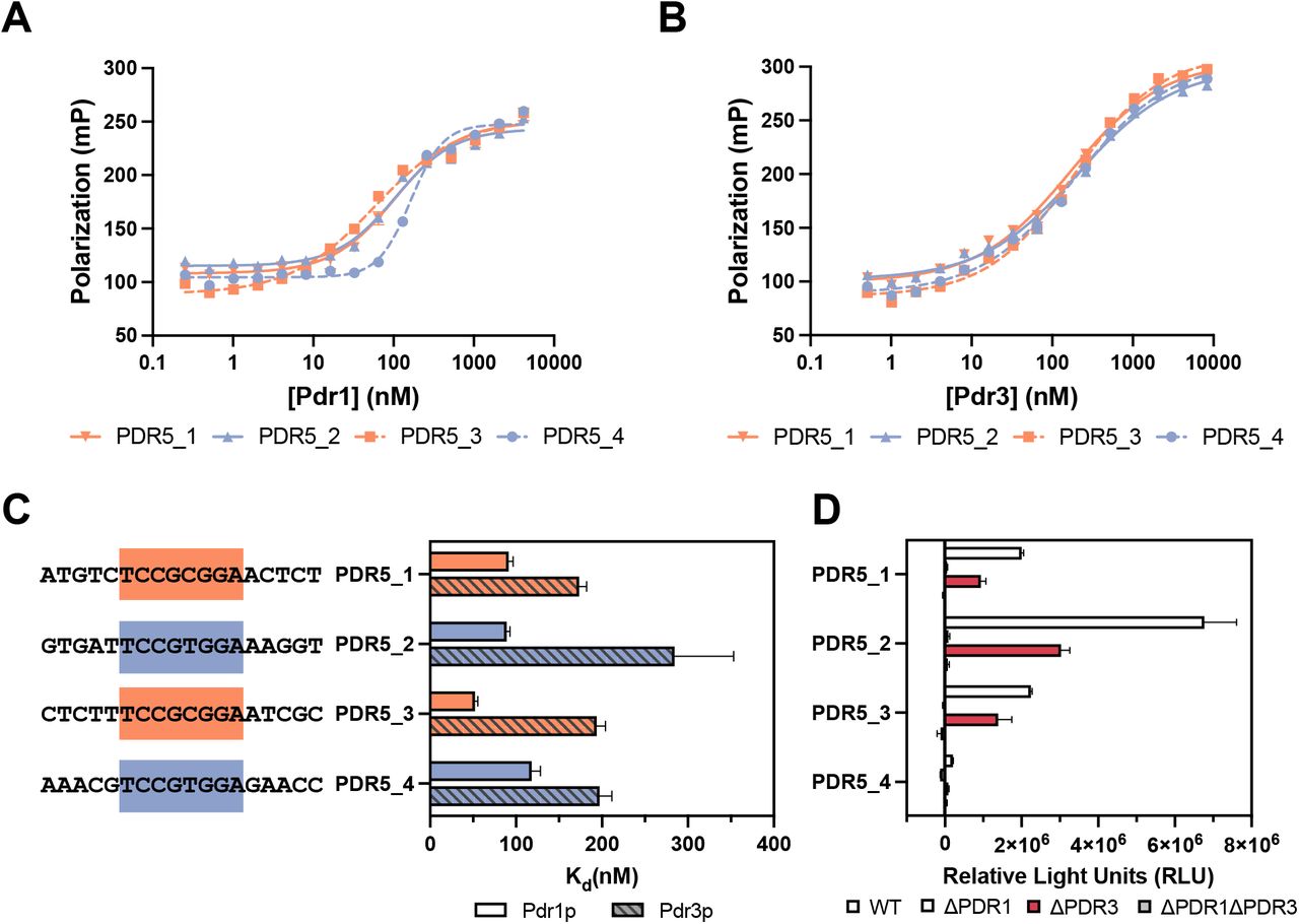 Sigmoidal 4pl Regression GraphPad Software Inc Bioz