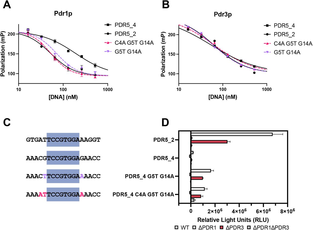 Sigmoidal 4pl Regression GraphPad Software Inc Bioz