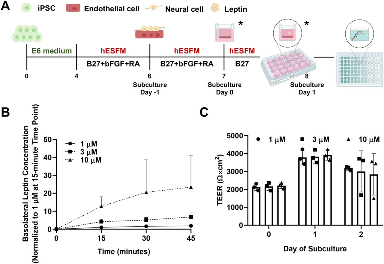 Human Leptin Standard Abts Elisa Development Kit PeproTech Bioz