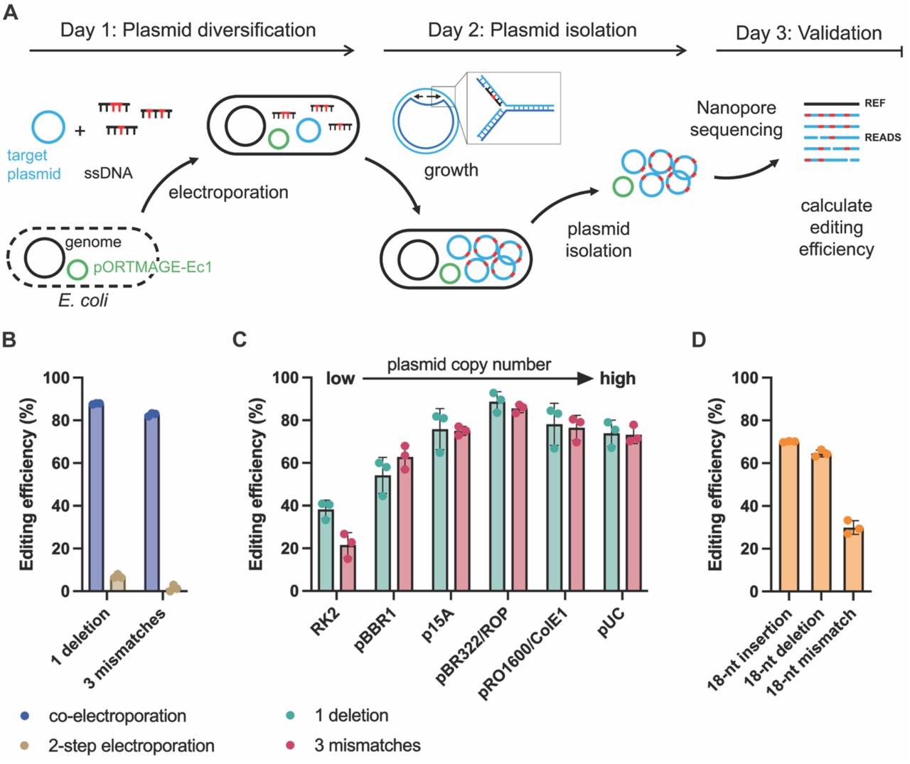 Electroporation Cuvette BioRad Bioz
