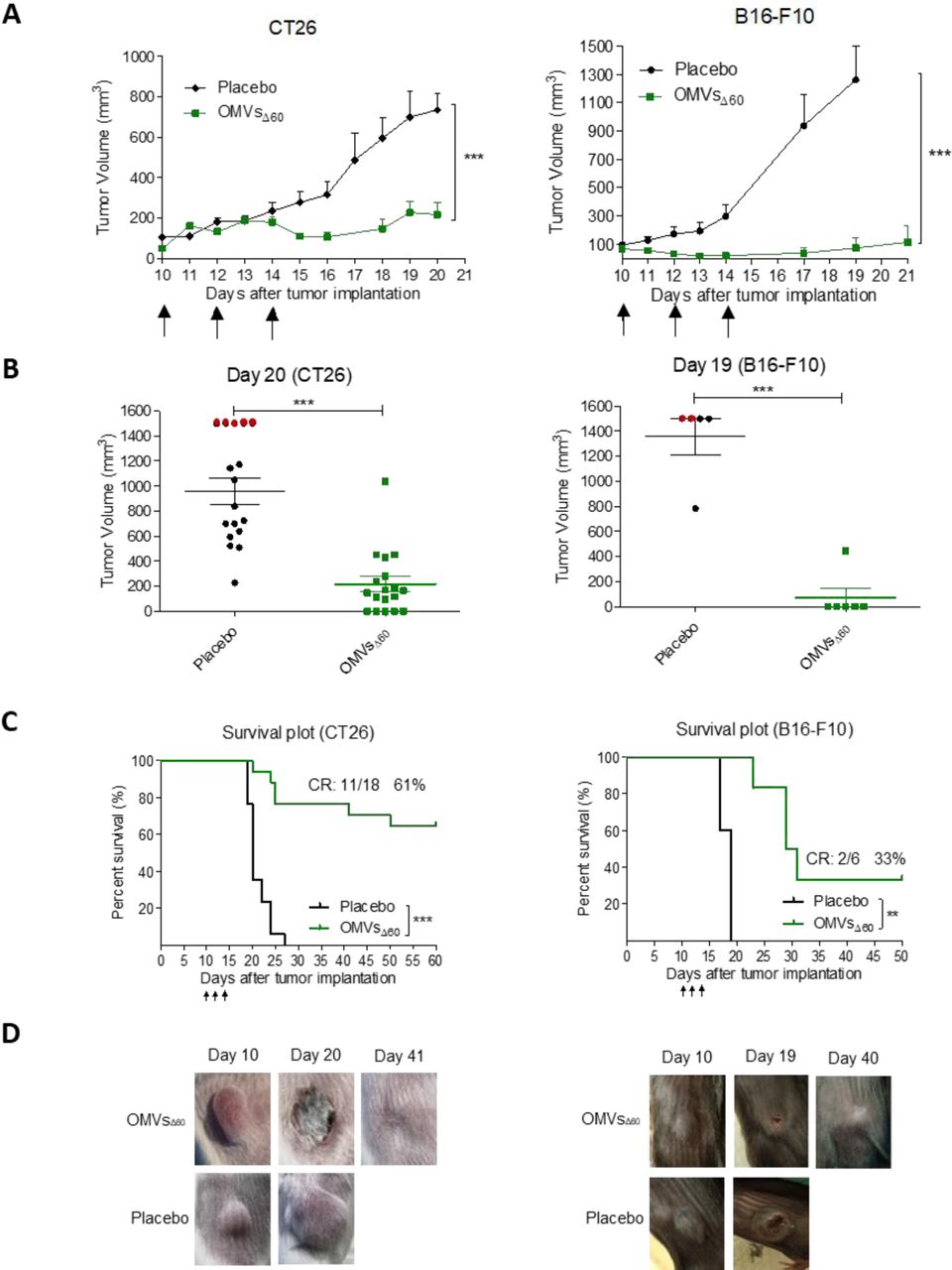 Female Balb C | Charles River Laboratories | Bioz