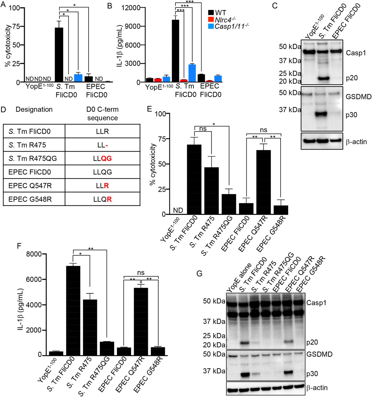 Cytotoxicity Ldh Detection Kit Roche Bioz