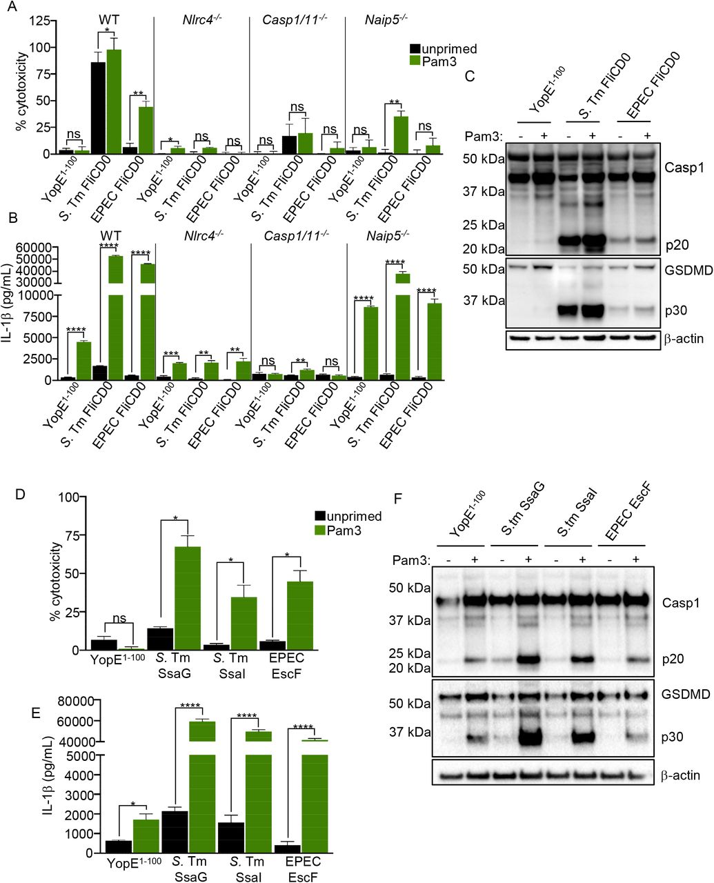 Cytotoxicity Detection Kit Ldh Roche Bioz