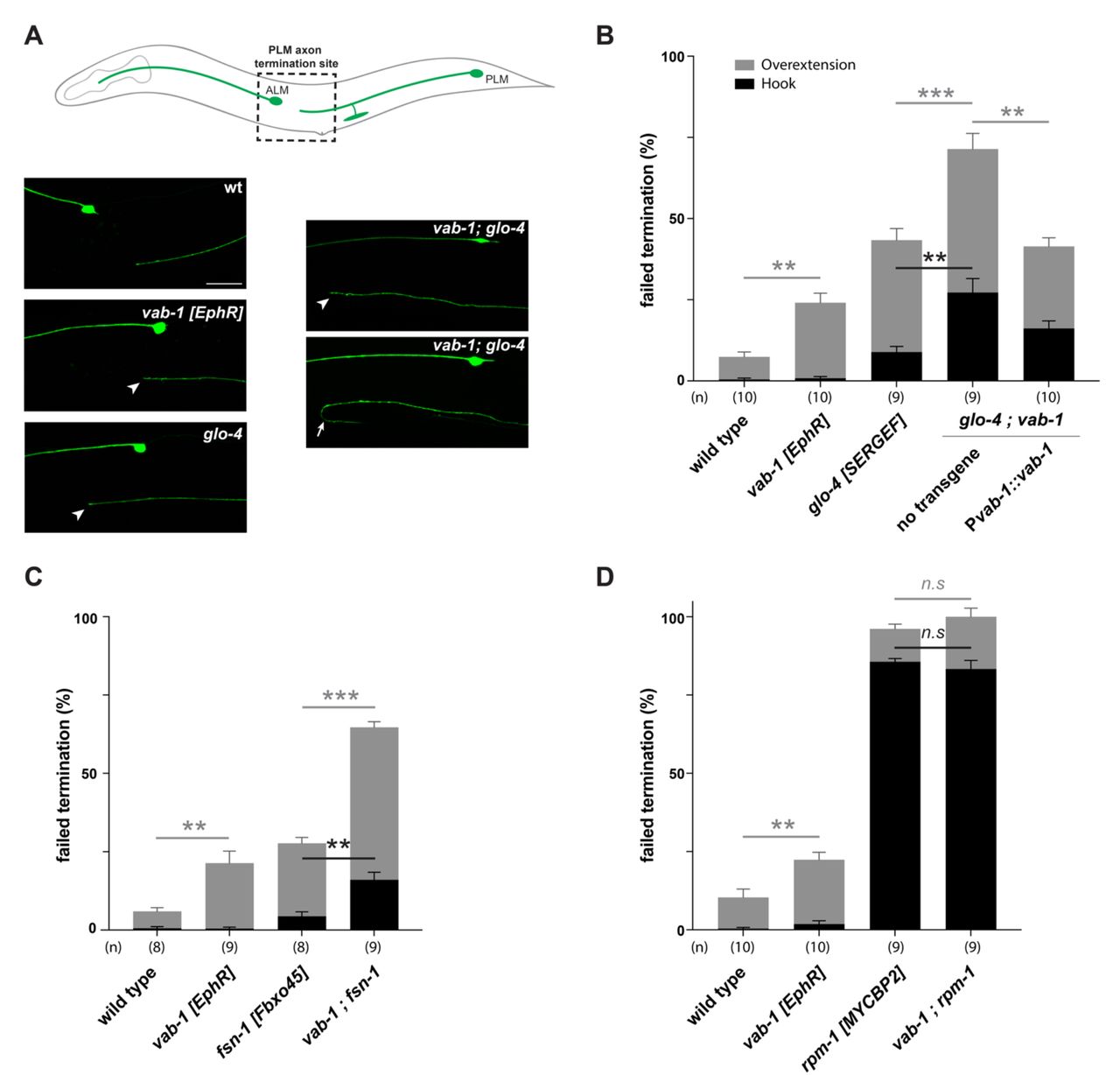 Bonferroni Correction GraphPad Prism Inc Bioz