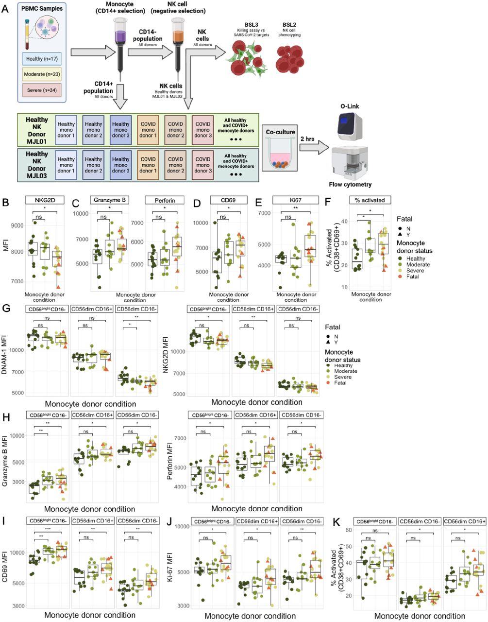 Macs Cd14 Isolation Kit Miltenyi Biotec Bioz