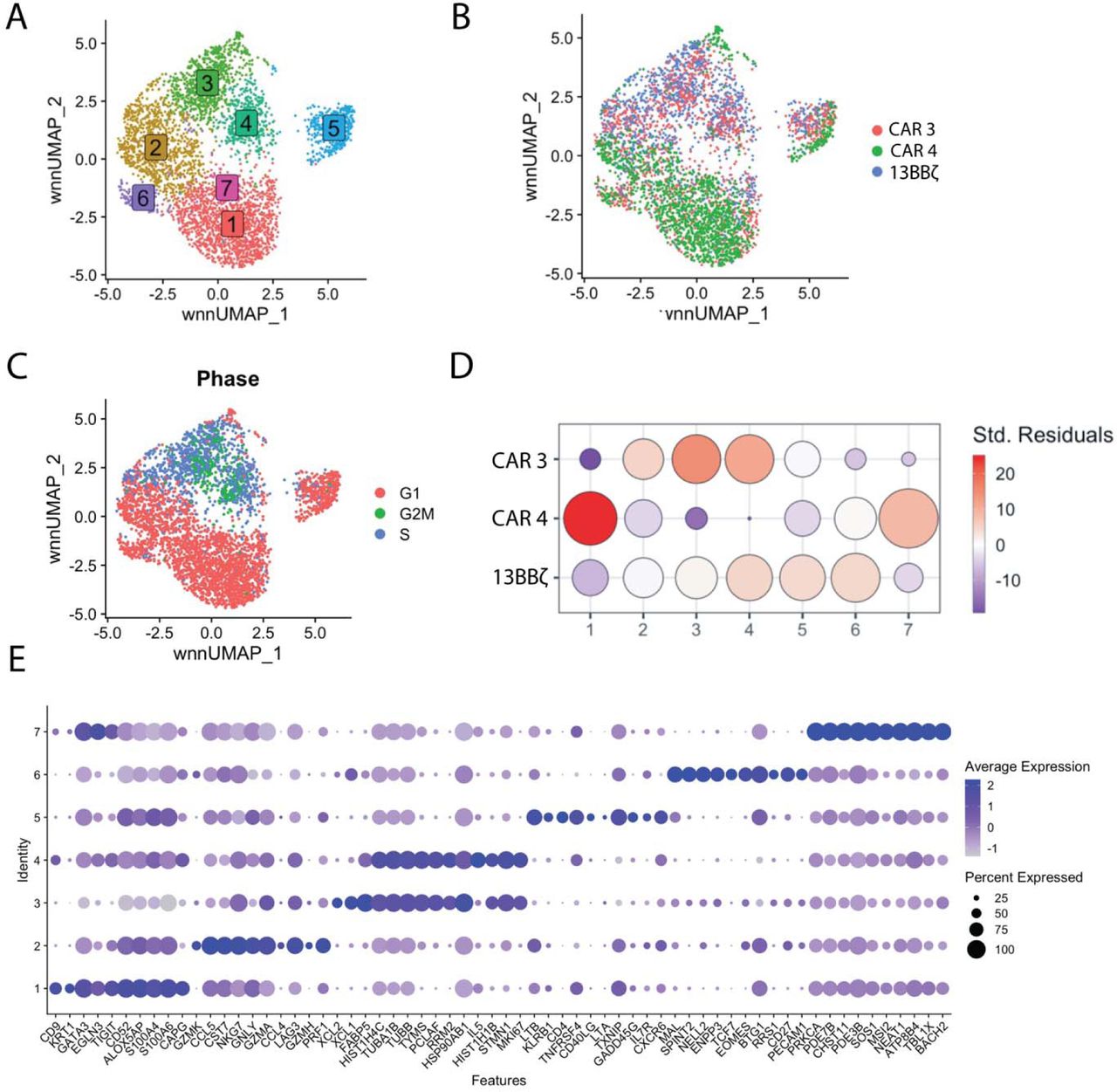 Cd3 Cd28 Dynabeads | Thermo Fisher | Bioz