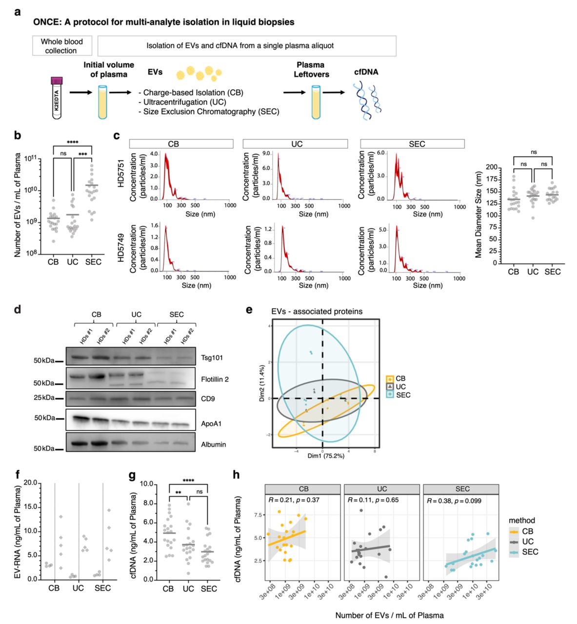 Cfdna Isolation Qiagen Bioz