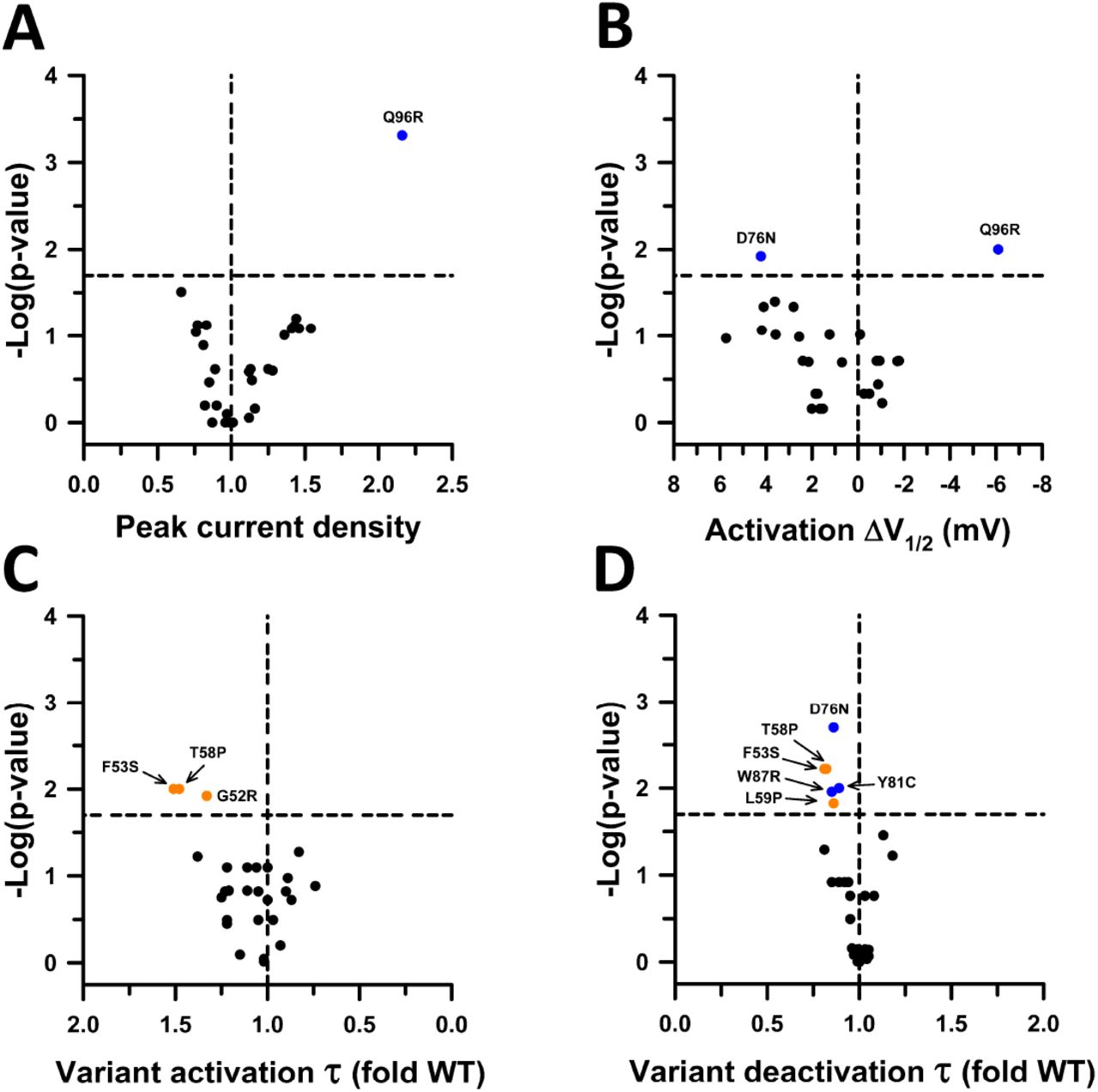 Pcdna3 2 Vector | Thermo Fisher | Bioz