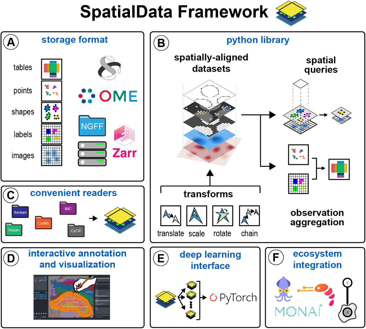 (A) The SpatialData storage format provides uniform storage for raw and derived data of diverse spatial <t>omics</t> technologies. The format builds on five primitive elements (SpatialElements), stored to Zarr in an OME-NGFF compliant manner. (B) The SpatialData Python library implements core operations for data access, alignment, queries, and aggregation of spatial omics data. Transformations align multiple SpatialElements to a common coordinate system (CCS). The CCS allows unified spatial queries and aggregation operators to be deployed across datasets. (C) SpatialData provides access to various data formats, including vendor-specific file formats. Multiple datasets can be stored in a single file and together are represented as a SpatialData object. (D) Datasets stored in the SpatialData format can be annotated interactively using the integrated napari-spatialdata plugin. SpatialData also provides functionality for generating static plots. (E) Leveraging an implementation of the PyTorch Dataset class, deep learning models can be trained directly from SpatialData objects. (F) Since SpatialData builds upon established standards and software, it ties into the existing ecosystem for <t>multimodal</t> analysis including Squidpy , Scanpy , MONAI and scvi-tools , amongst others. 