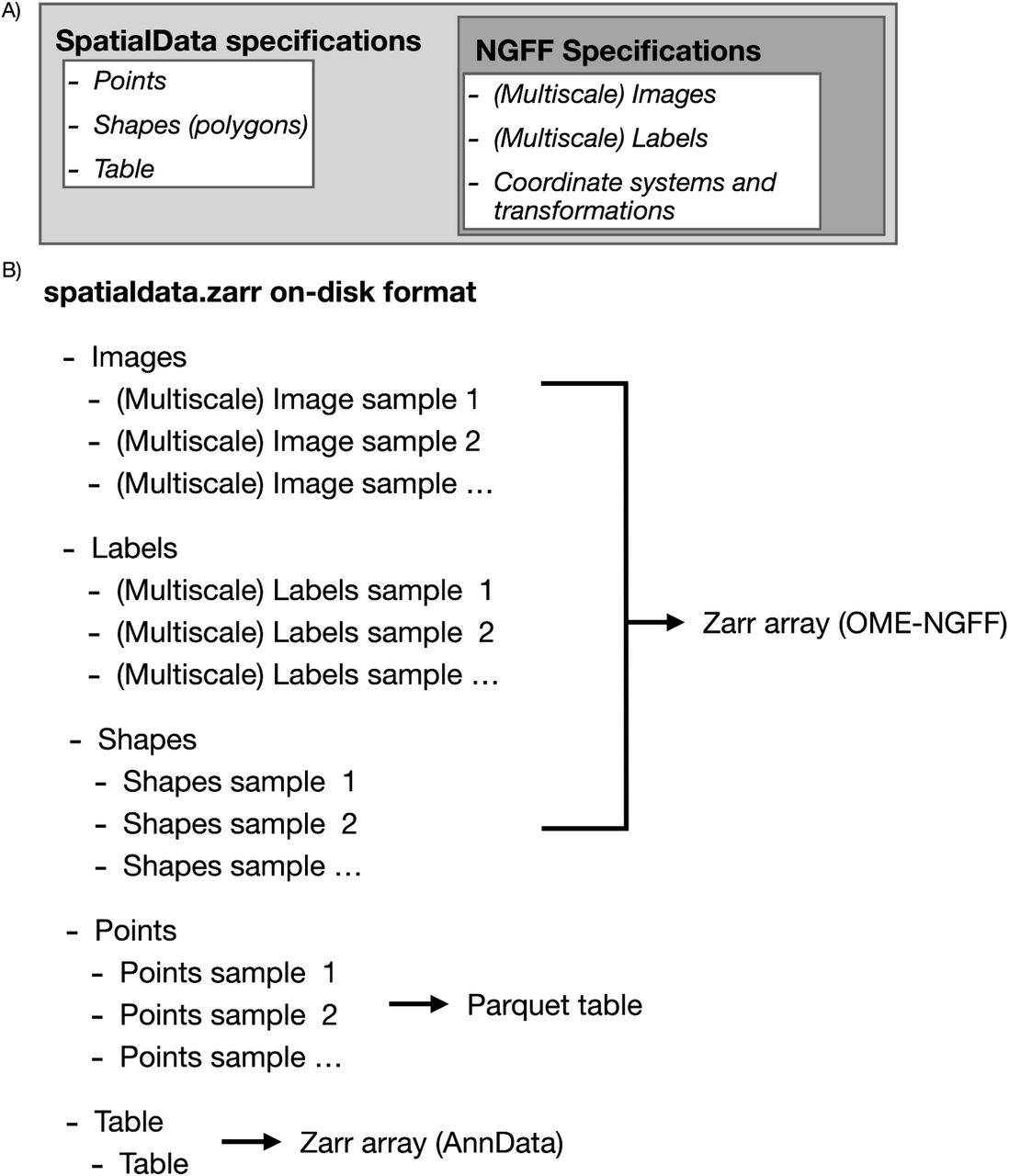 (A) The SpatialData storage format builds on the OME-NGFF specification by prototyping new data types required to store spatial <t>omics</t> information. Coordinate systems and transforms as well as tables are currently in review by the community. Points and shapes will be submitted to the community for review in a next phase to ensure interoperability. (B) Storage format of SpatialData: it consists of one Zarr container with nested folder structure, one for each SpatialData element. Each of the elements is saved as Zarr arrays, except for the Points, which are stored as an Apache Parquet file. We want to highlight that the Parquet file storage for points might change in the near future when a Zarr alternative will be implemented. 