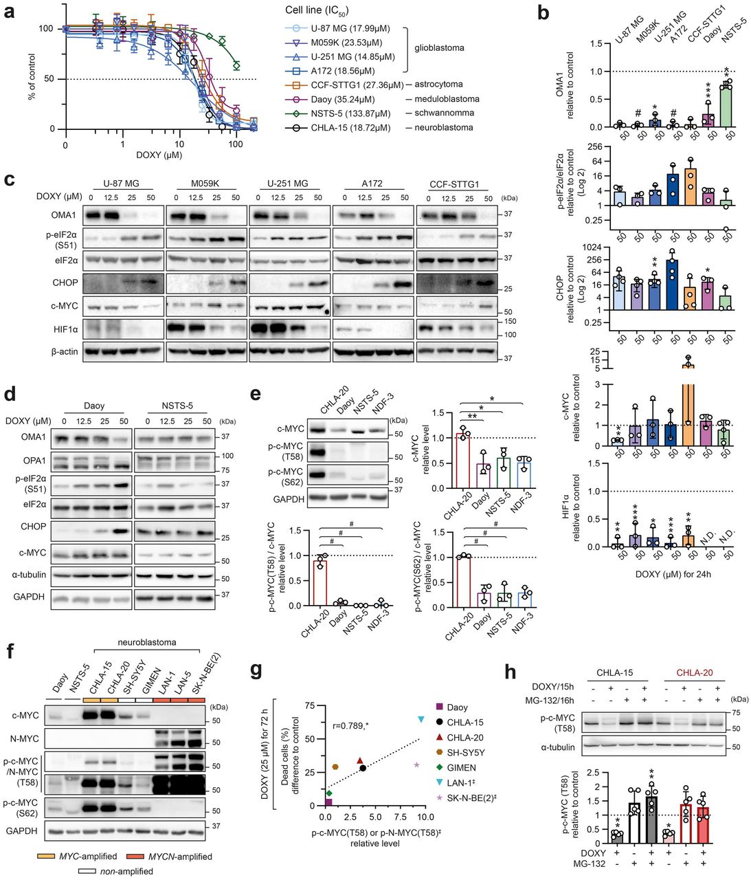 Mini Complete Protease Inhibitor Cocktail Roche Bioz