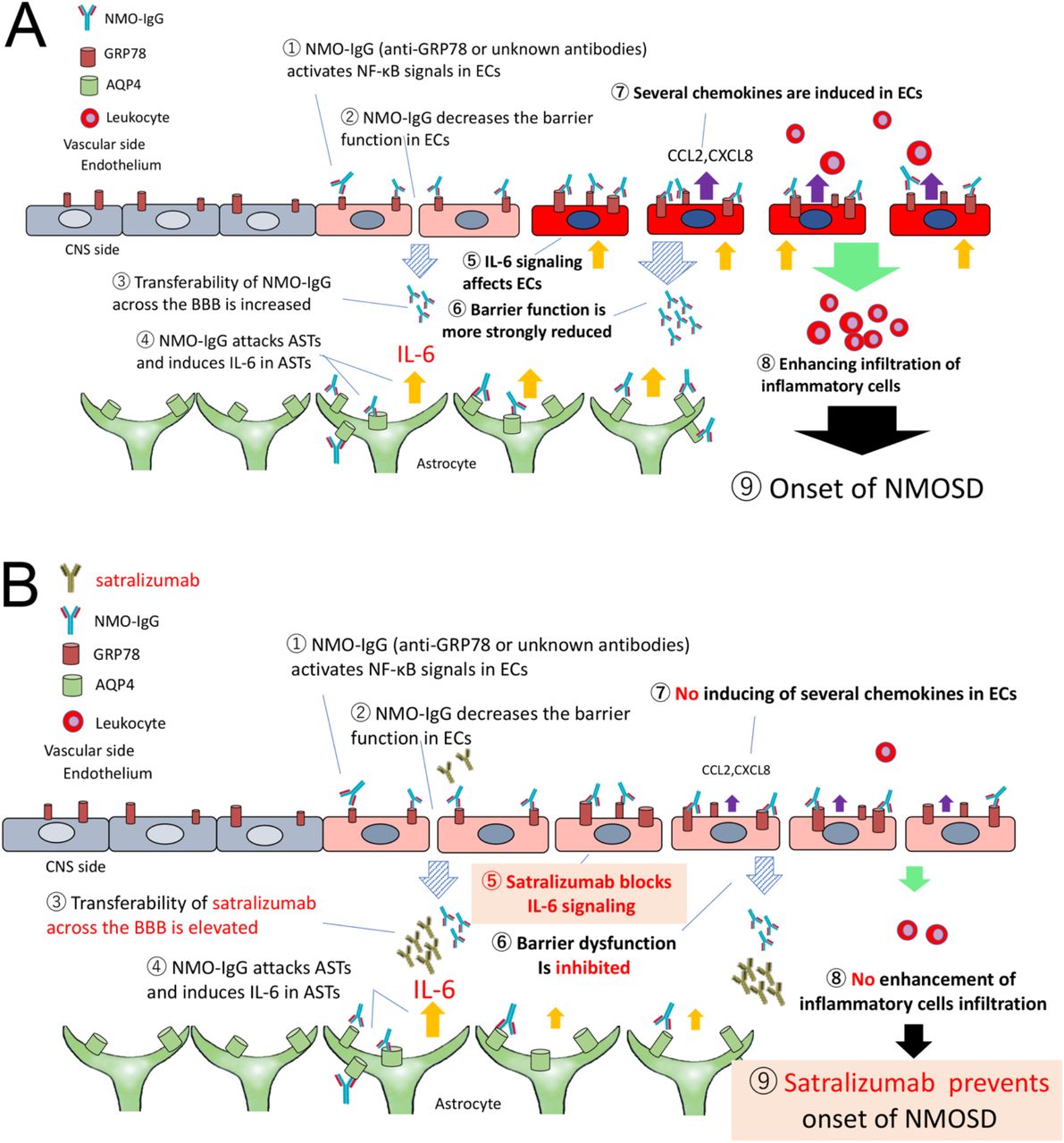 Anti Il 6 Receptor Antibody Mr16 1 Chugai Bioz