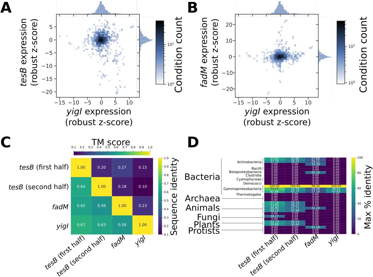 (A) Hexbin density plot showing the relative distributions of expression changes for yigI and tesB in response to the range of conditions represented in the COLOMBOS database. (B) As in A , comparing yigI and fadM expression. (C) Structural (lower triangle) and sequence (upper triangle) similarities between the four <t>E.</t> <t>coli</t> thioesterase domains considered here; TM scores are averaged across normalizations by the longer and shorter protein in each case. (D) Sequence identities of the best hit (identified via psiblast) in the landmark database for each of the E. coli <t>MG1655</t> thioesterase domains considered here. “0” is shown in cases where no detectable homologs were present passing our E-value threshold.