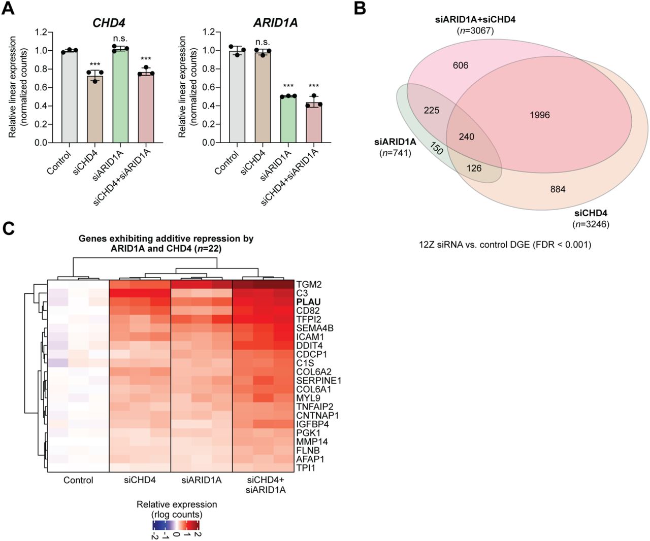 RNA-seq analysis of an ARID1A ± CHD4 co-knockdown experiment ( n = 3 ... RNA-seq analysis of an ARID1A ± CHD4 co-knockdown experiment ( n = 3 per condition). A , Relative linear RNA-seq expression for (left) CHD4 and (right) ARID1A among siRNA treated conditions. Statistic is DESeq2 FDR-adjusted Wald test. B , Euler diagram displaying DGE (FDR < 0.001) overlap of siCHD4, siARID1A, and siARID1A+siCHD4 conditions compared to control cells. C , Clustered heatmap of expression alterations (rlog) at 22 genes displaying additive repression by ARID1A and CHD4. These genes are significantly upregulated in siCHD4, siARID1A, and siARID1A+siCHD4 conditions compared to control cells and siARID1A+siCHD4 vs. single-knockdown conditions. *** FDR < 0.001