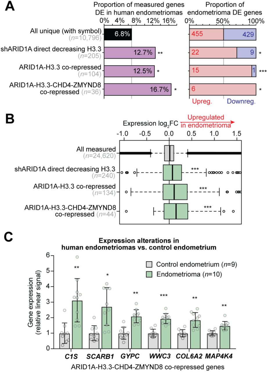 A , Left, enrichment for ARID1A-H3.3 co-repressive chromatin mechanistic gene sets among human endometrioma ... A , Left, enrichment for ARID1A-H3.3 co-repressive chromatin mechanistic gene sets among human endometrioma (ovarian endometriosis) vs. control endometrium DE genes reported by Hawkins et al. , compared to all unique measured genes. Right, proportion of overlapping DE genes that are upregulated vs. downregulated in endometriomas, compared to all unique measured genes. Statistic is hypergeometric enrichment. B , Box plots displaying endometrioma expression log 2 FC values for probes annotated to genes within mechanistic gene sets, compared to all measured probes. Statistic is two-tailed, unpaired Wilcoxon’s test. C , Relative expression box-dot plots of 6 genes upregulated in endometriomas vs. control endometrium that are co-repressed by ARID1A, H3.3, CHD4, and ZMYND8. Statistic is limma FDR-adjusted p . * p < 0.05, ** p < 0.01, *** p < 0.001.