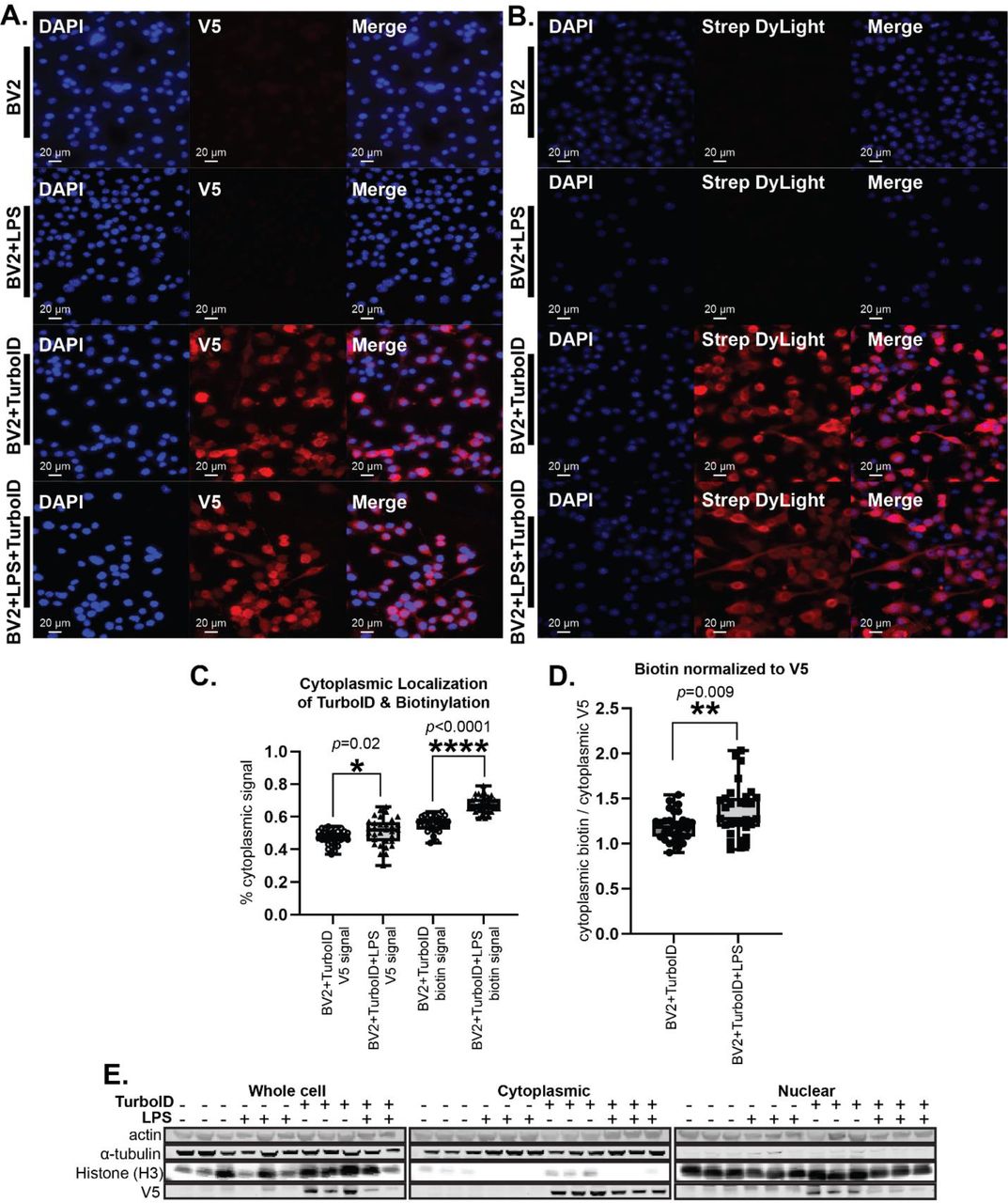 Bz X810 Analyzer Software KEYENCE Bioz