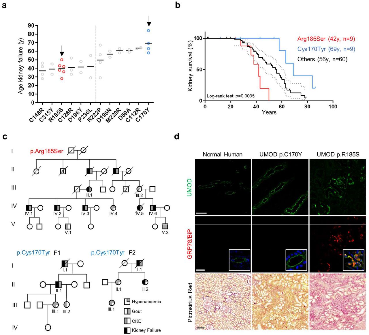 Prolong Gold Anti Fade Reagent With Dapi Thermo Fisher Bioz