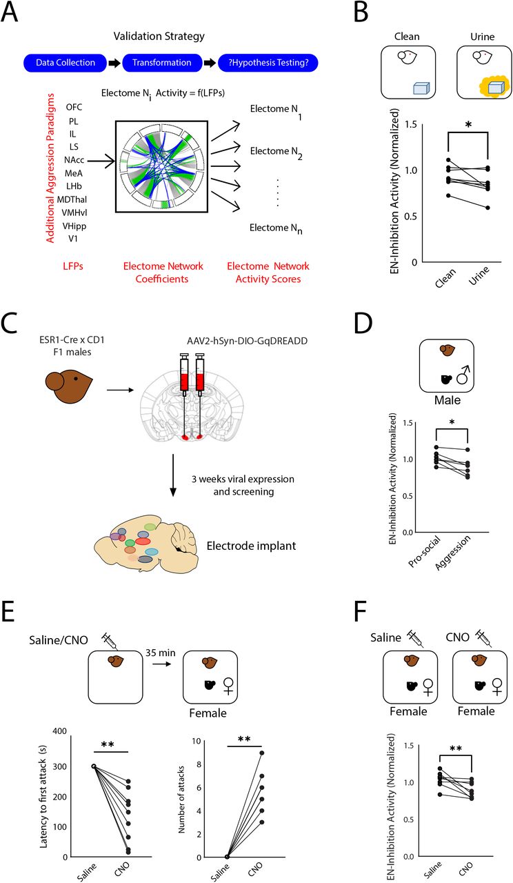 Cd1 Retired Breeder Male Mice Charles River Laboratories Bioz