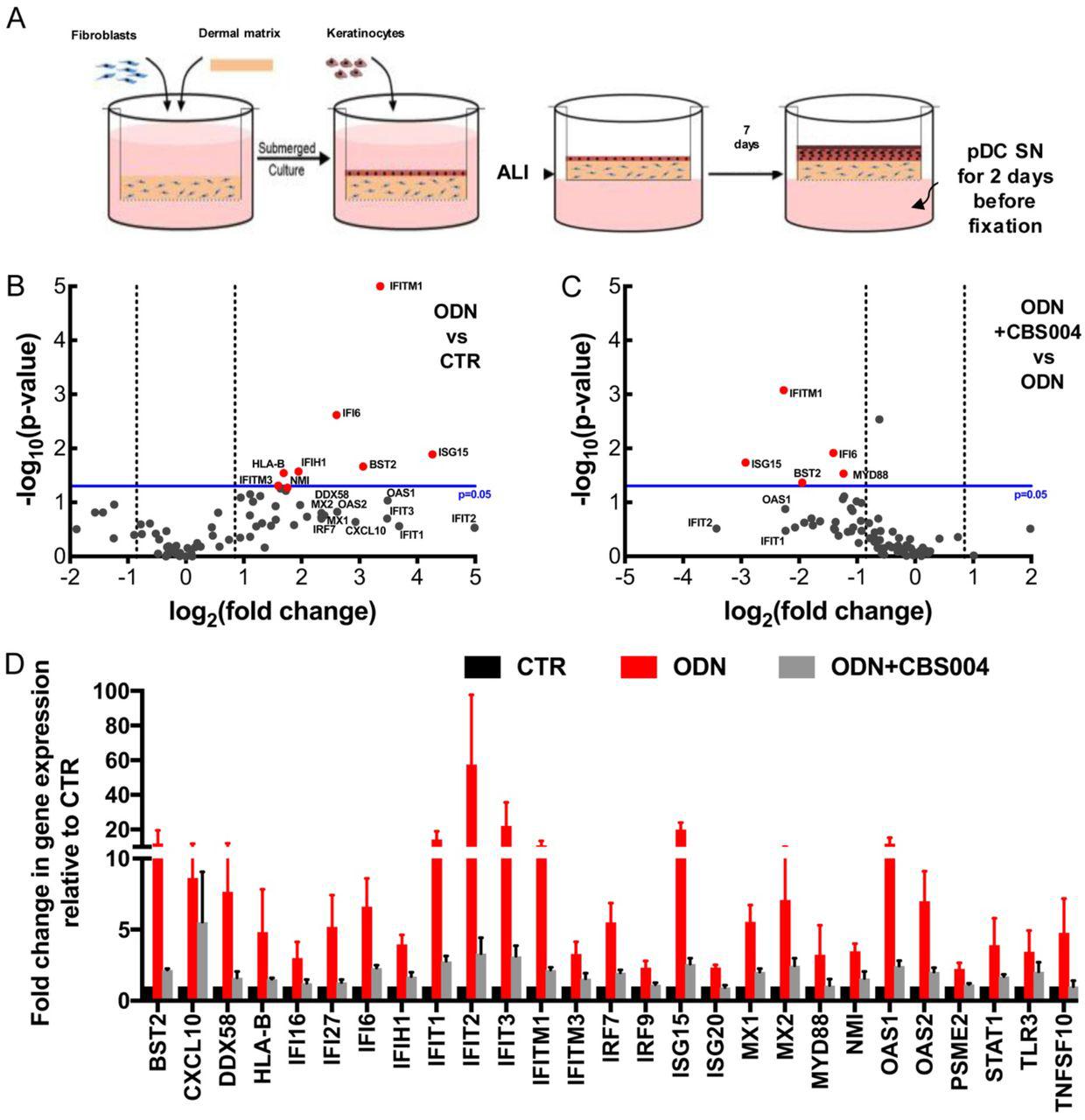 Cbs004 Mabs | Lonza | Bioz