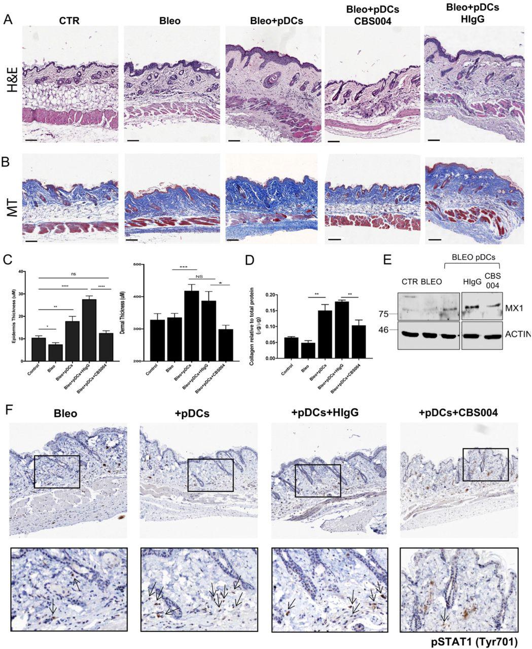 Cbs004 Mabs | Lonza | Bioz image.