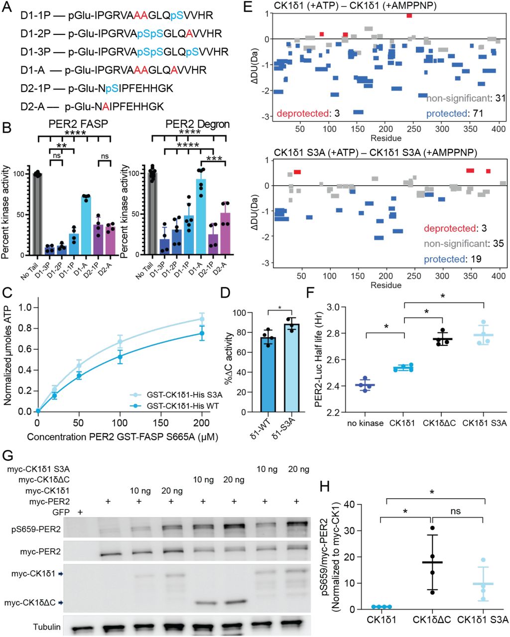 Adp Glo Kinase Assay Kit Promega Bioz
