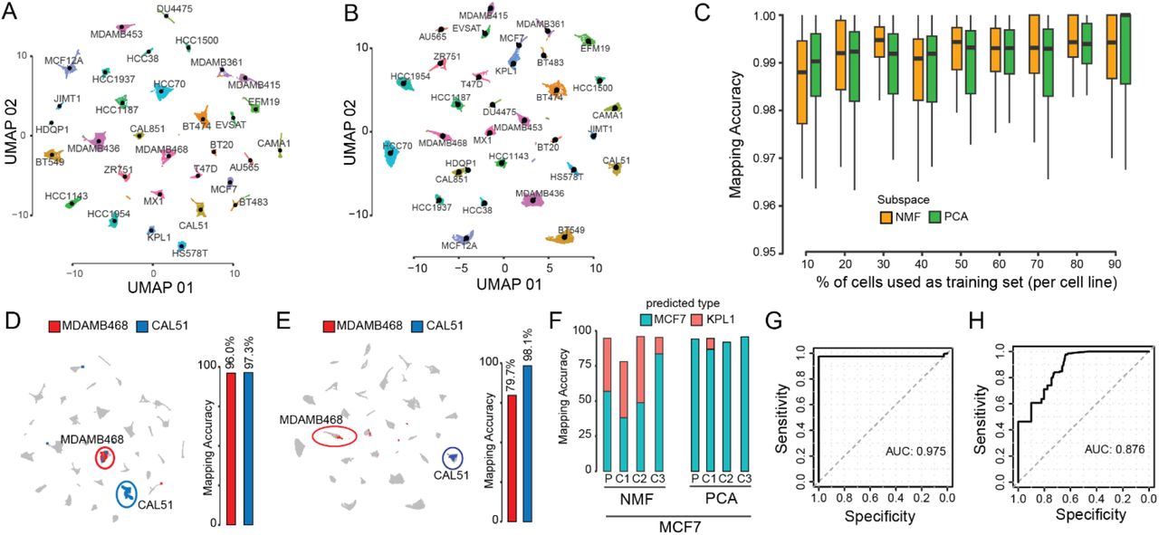 Cal51 Cell Lines ATCC Bioz