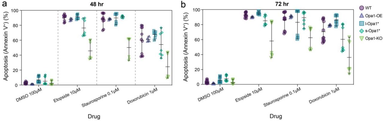 ... of cell viability by Annexin V staining in MEF cell lines after treatment with the indicated compounds ... Assessment of cell viability by Annexin V staining in MEF cell lines after treatment with the indicated compounds for (a) 24 hours, (b) 48 hours and (c) 72 hours. N = minimum 4 biological replicates.