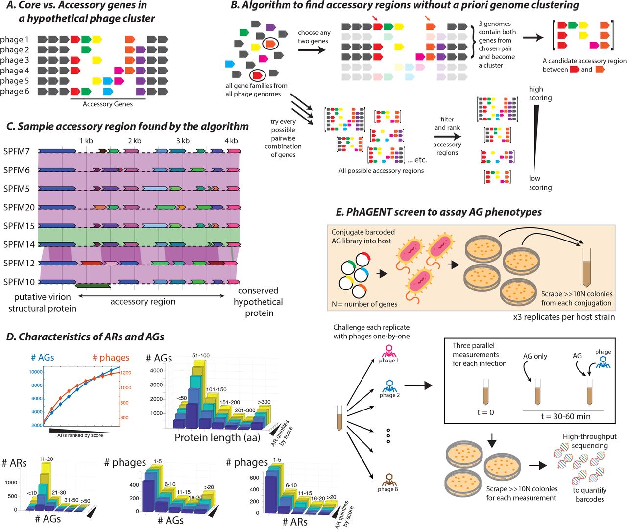 N 8 Barcodes Illumina Inc Bioz