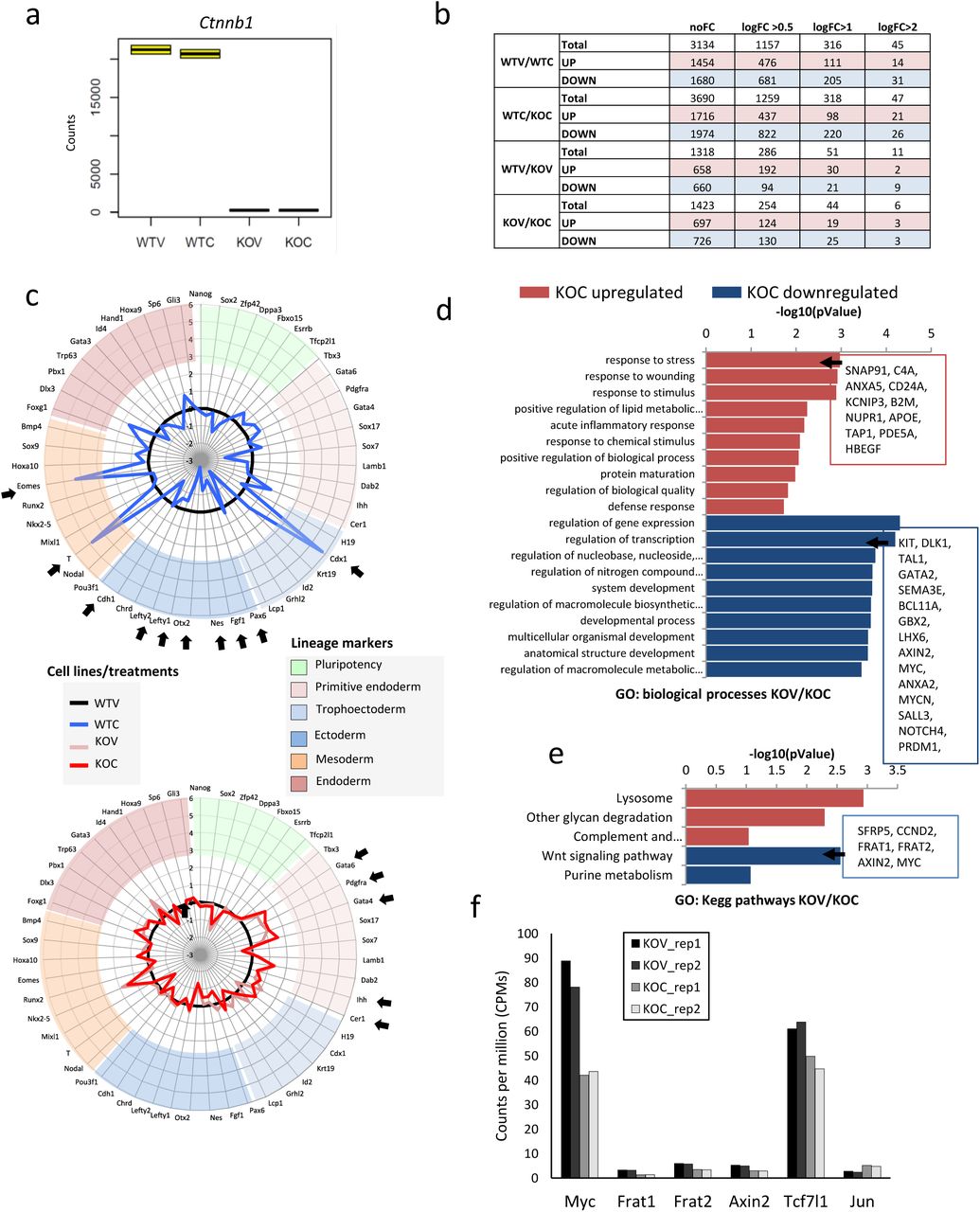 a) Box plot of Ctnnb1 mRNA expression levels (raw counts) across WTV, WTC, KOV and KOC samples. b) Number of differentially expressed genes in various comparison relative to . c) Radar plot showing the fold-change of pluripotency and lineage marker genes in WTC (top panel, blue line) or KOV, KOC samples (light and dark red lines respectively, bottom panel), versus WTV sample (black line, top and bottom panel). d, e) Gene ontology analysis of biological processes (d) and KEGG pathways (e) enriched in differentially expressed genes in the KOV/KOC comparison (adjusted p.Value <0.05, absolute logFC >0.5) f) Histogram of counts per million (CPMs) of canonical Wnt target genes with minor expression level changes in KOV/KOC comparison. Individual biological replicates are shown. 