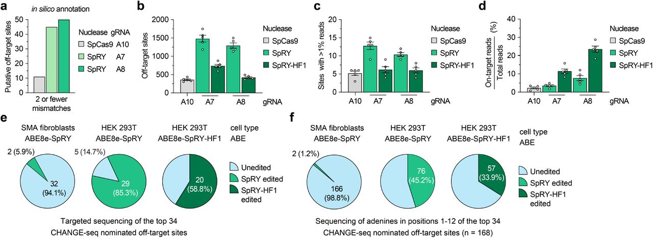 a , Number of putative off-target sites in the human genome with up to 2 mismatches for each gRNA, annotated by CasOFFinder . Predictions for SpCas9 utilized an NGG, NAG, or NGA PAM; with SpRY, a PAMless NNN search. b , Total number of CHANGE-seq detected off-target sites, irrespective of assay sequencing depth. c , Number of CHANGE-seq identified off-target sites that account for greater than 1% of total CHANGE-seq reads and are common across all 5 SMA fibroblast lines. d , Percentage of CHANGE-seq reads detected at the on-target site relative to the total number of reads in each experiment. For panels b, c , and d , mean, s.e.m, and individual datapoints shown for n = 5 independent biological replicate CHANGE-seq experiments (performed using <t>genomic</t> <t>DNA</t> from each of the 5 SMA fibroblast lines). e , f , Summary of targeted sequencing results from ABE-edited SMA fibroblasts or HEK 293T cells at the top 34 CHANGE-seq nominated off-target sites (common sites across all 5 SMA fibroblast lines and treatments with SpRY or SpRY-HF1), analyzing statistically significant editing of any adenine in the target site ( panel e ) or of all adenines in positions 1-12 of each of the 34 target sites ( panel f ).
