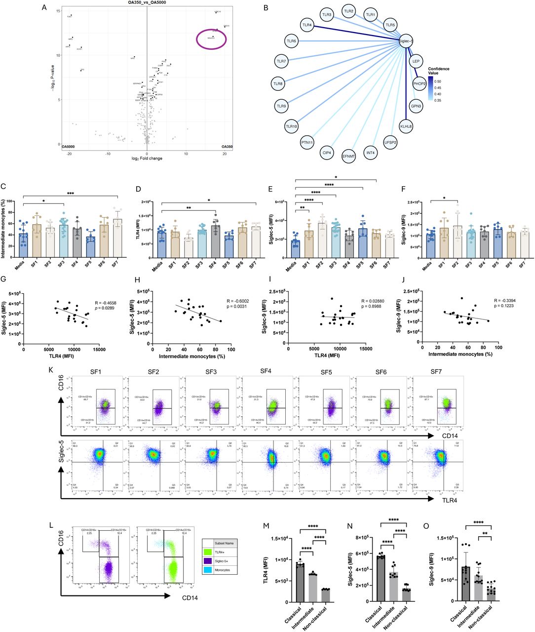 (A) Volcano plot displaying the proteins detected in the protein corona of PAMAM5000 and PAMAM350, here denoted OA5000 and OA350 using proteomics analysis. Siglec-5 is indicated with a circle. (B) Protein-protein interaction network visualized from the IntAct database. Strong evidence of interaction appears to <t>TLR4,</t> PHOP2, and KLHL8, as evidenced by high confidence score. The illustration was adopted from the website and improved using R. (C) Percentage intermediate monocytes (CD14 + CD16 + ) after 24hrs in media control and SF1-7 ( n =3 from three biological replicates). (D-F) Median fluorescence intensity (MFI) of TLR4, Siglec-5, and Siglec-9 on the cell membrane ( n =3 from three biological replicates). (G-J) Correlation between Siglec-5 to TLR4 and intermediate monocytes, and between Siglec-9 to TLR4 and intermediate monocytes. (K) Representative flow cytometric dot plots displaying the ratio between classical and intermediate monocytes, where blue represents both subsets, purple represents Siglec-5 + cells, and green represents TLR4 + cells. (L) Baseline levels (0hrs) of classical, intermediate, and non-classical subsets, where blue color represents all monocytes, purple color represents Siglec-5 + , and green represents TLR4 + cells. (M-O)MFI of TLR4, Siglec-5, and Siglec-9 in monocyte subsets. Data is presented as mean percentage or MFI ( n =2-3) from three biological replicates. Data is represented as mean±SD, statistical analysis was performed using one-way ANOVA with Tukey’s multiple comparisons or Dunnett’s multiple comparisons test. Correlation analysis was performed using Spearman’s correlation test (* p <0.05; ** p <0.01; *** p <0.001; **** p <0.0001). 