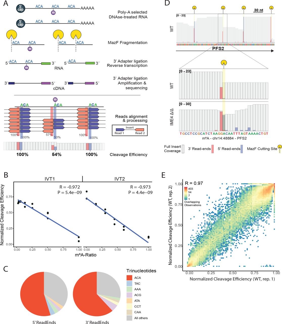Adapter Ligated Rna Thermo Fisher Bioz