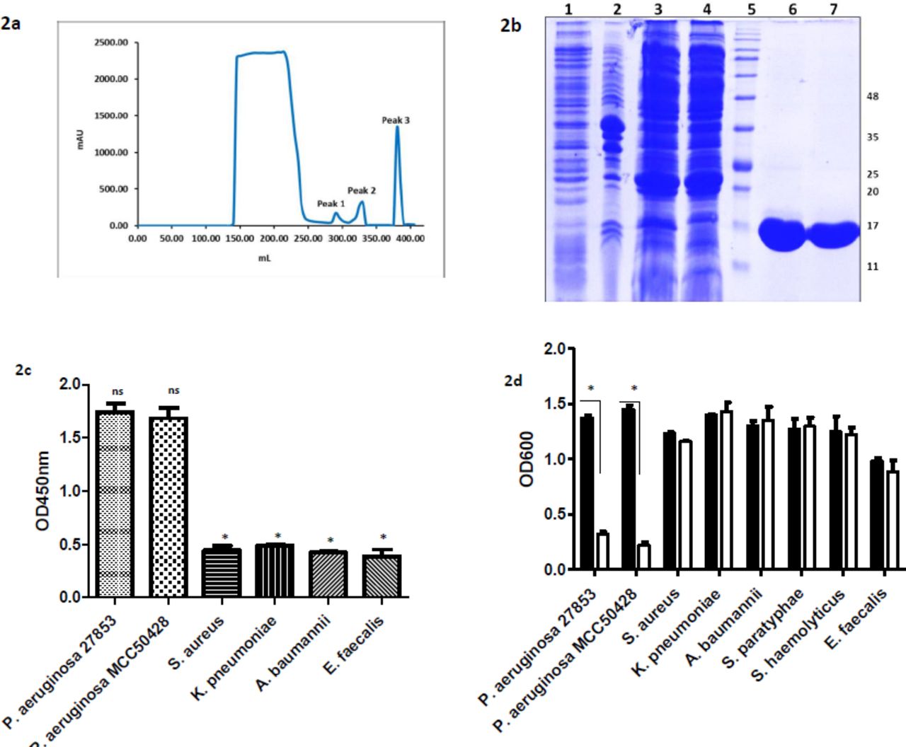Sepharose Affinity Column GE Healthcare Bioz