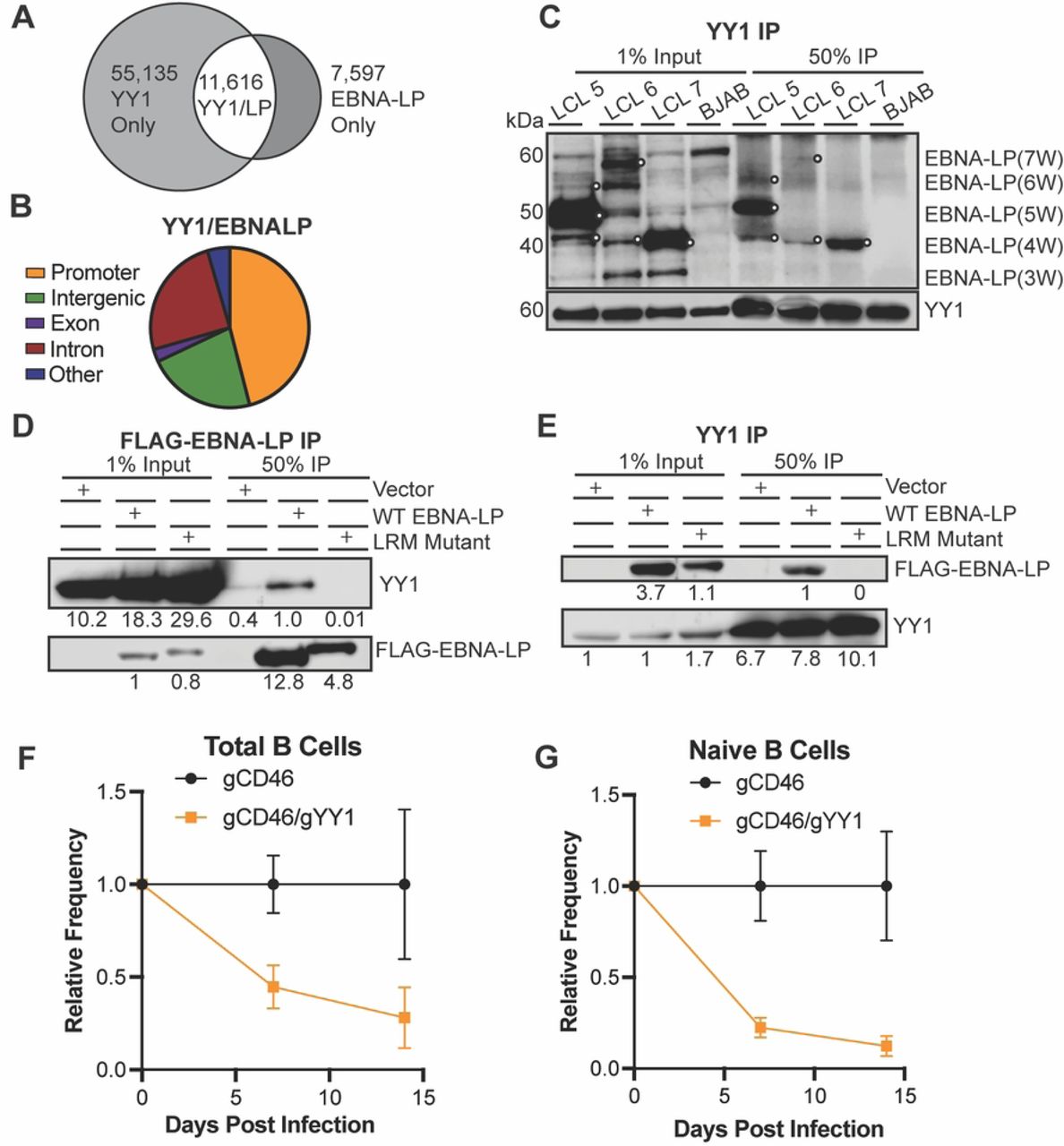 Truecut Cas9 V2 Thermo Fisher Bioz
