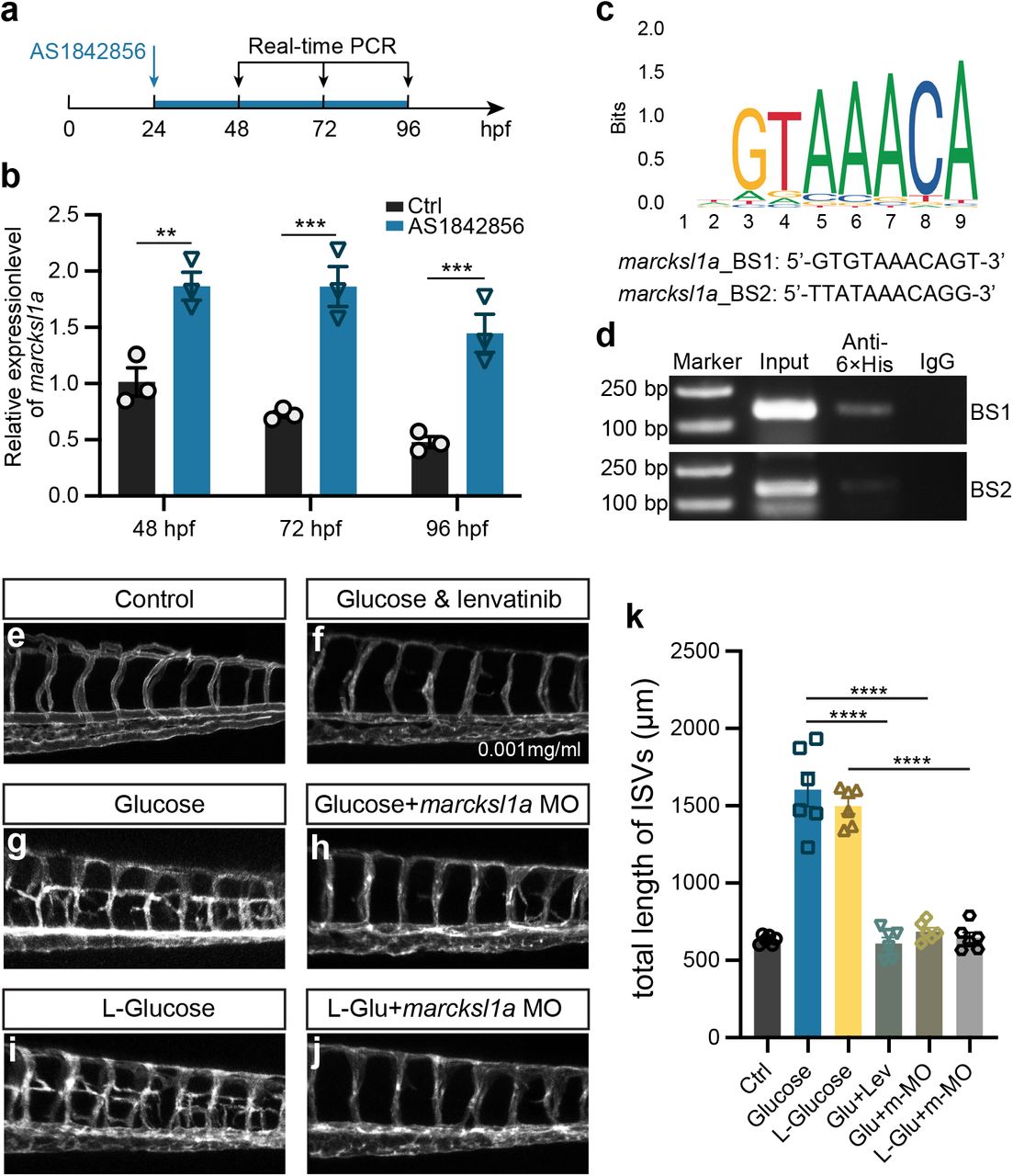 Chromatin Immunoprecipitation Chip Chip Millipore Bioz