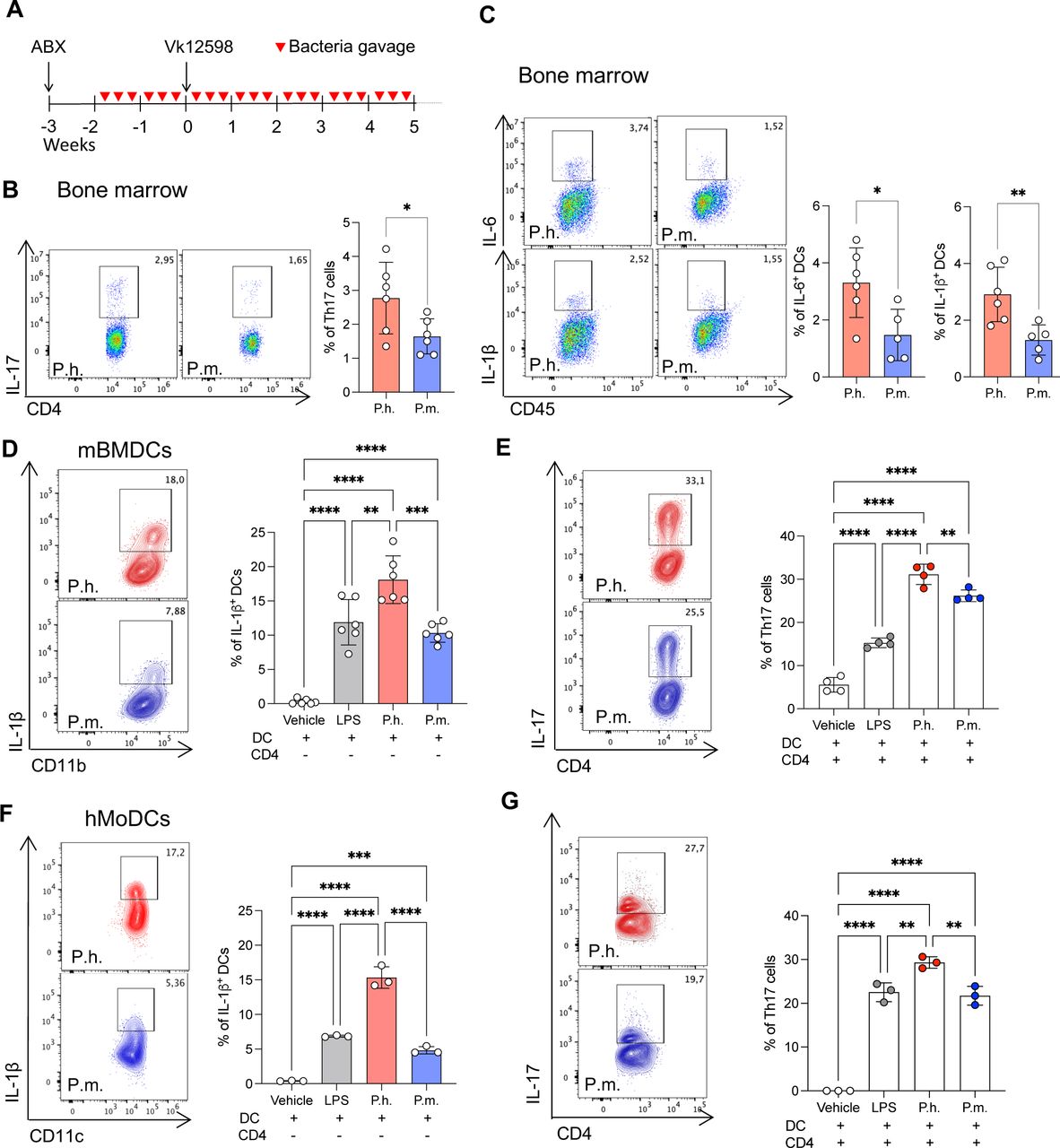 Dynabeads Human T Activator Cd3 Cd28 | Thermo Fisher | Bioz